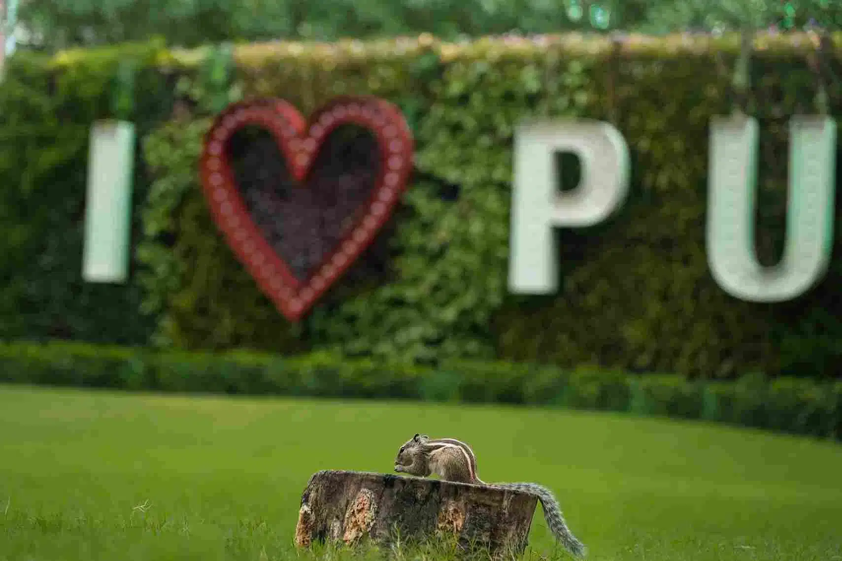 Parul University Campus photo 5